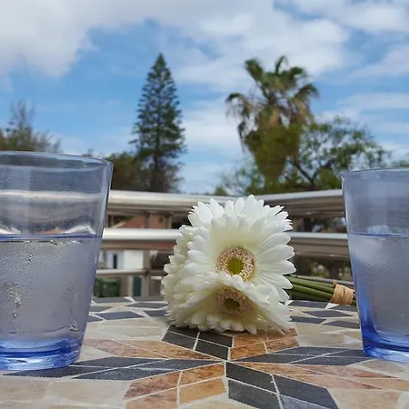 Sotavento Lejlighed Porto Santo